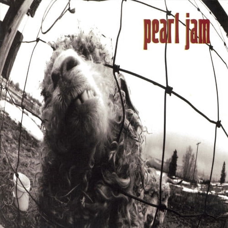 Pearl Jam - Vs. (Original) - Music & Performance - CD - Walmart.com