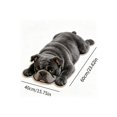 thumbnail image 3 of Funny 2D Dog Shaped Floor Mat, Soft Non-Slip Fleece Door Rug for Entryway Bedroom Bathroom, Cute Pet Print Indoor Carpet, 23.6 x 15.10 Inch Multicolor, 3 of 6