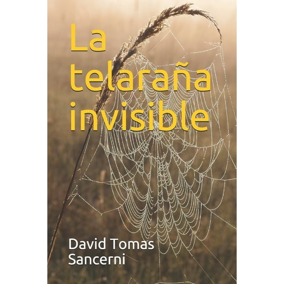 La telaraña invisible (Paperback)
