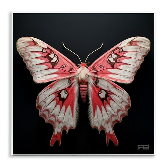 Stupell Industries Red & White Moth Animals & Insects Painting Unframed Art Print Wall Art, 12 x 12