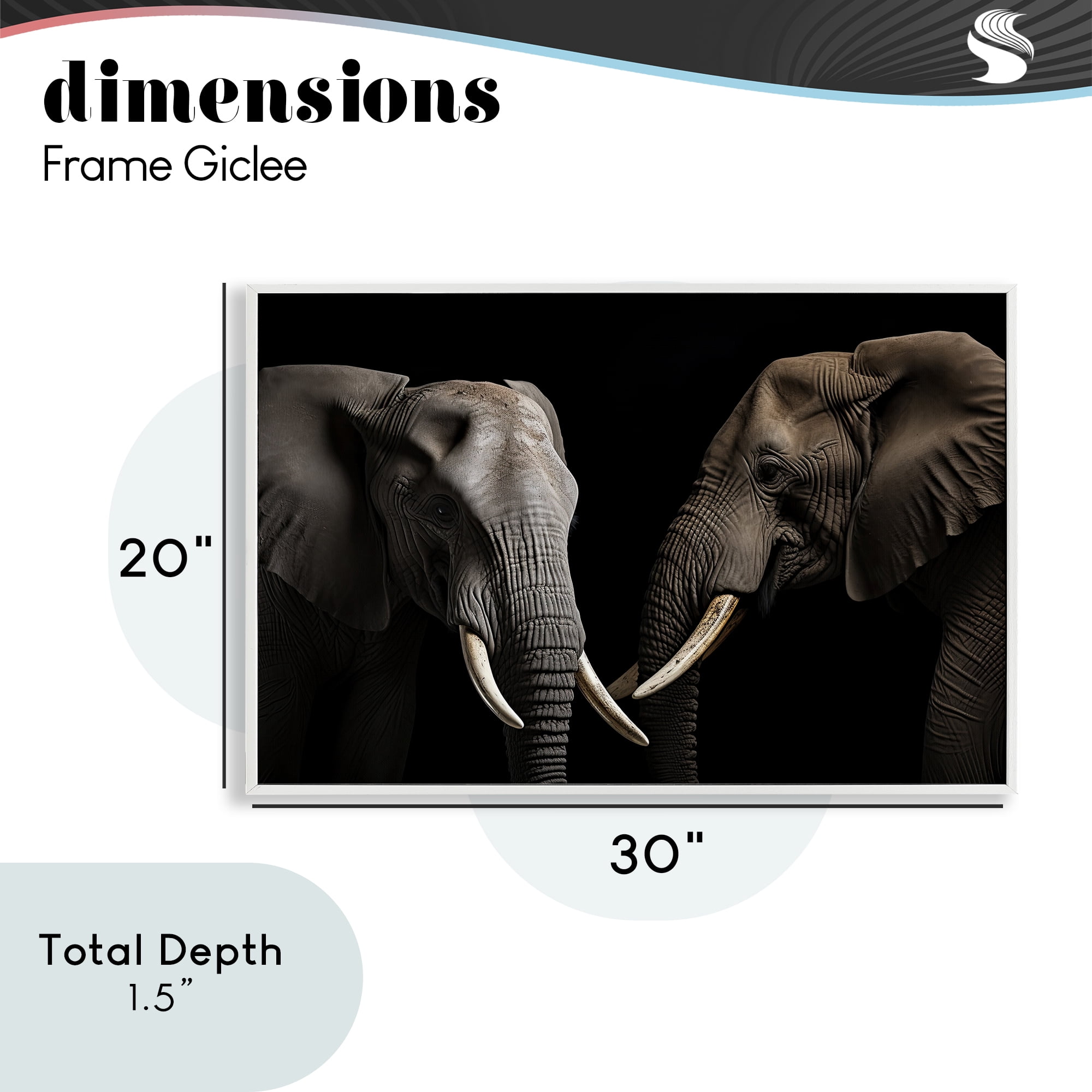 Pachyderm Elephant Pair White Framed Giclee Art, design by Decent Exposures