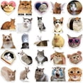 thumbnail image 2 of Lindas pegatinas de gatos, divertidas pegatinas de memes de gatos para adultos, 50 hojas de k divertidos, 2 of 5