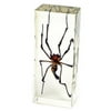 Ed Speldy East PW311 Large Paperweight - Golden Orb Spider
