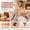 beige_15, variant on Christmas Window Lights, Octagonal Star LED Hanging Decoration with Suction Cup Mount, Battery-Powered Festive Accent Lamp for Windows, Glass Doors and Holiday Displays