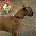 thumbnail image 3 of Country Brook Petz® Serape Everyday Dog Collar - Made in the U.S.A., Medium, 3 of 7
