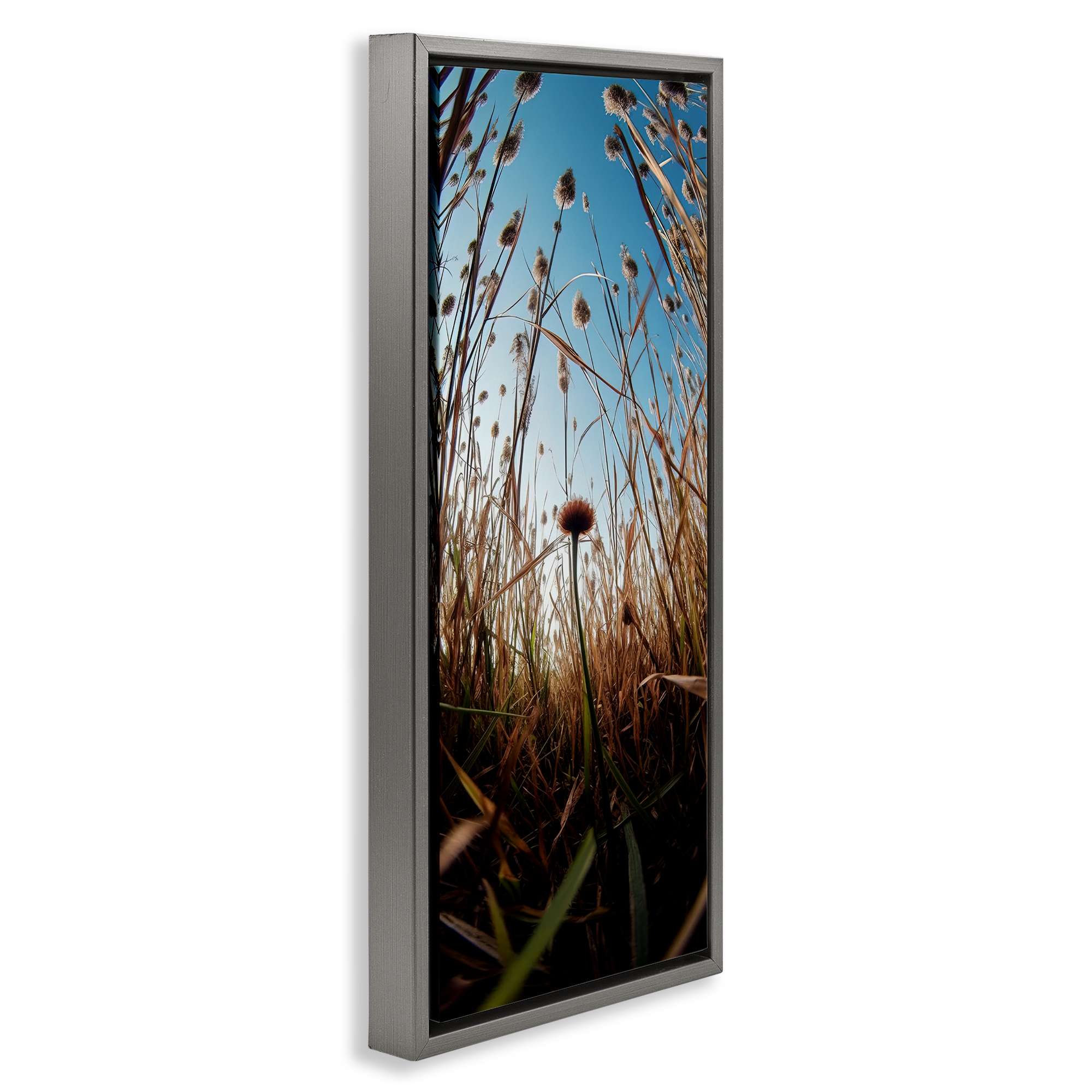 Daydream Botanical Meadow Gray Framed Floater Canvas Wall Art, design by Decent Exposures