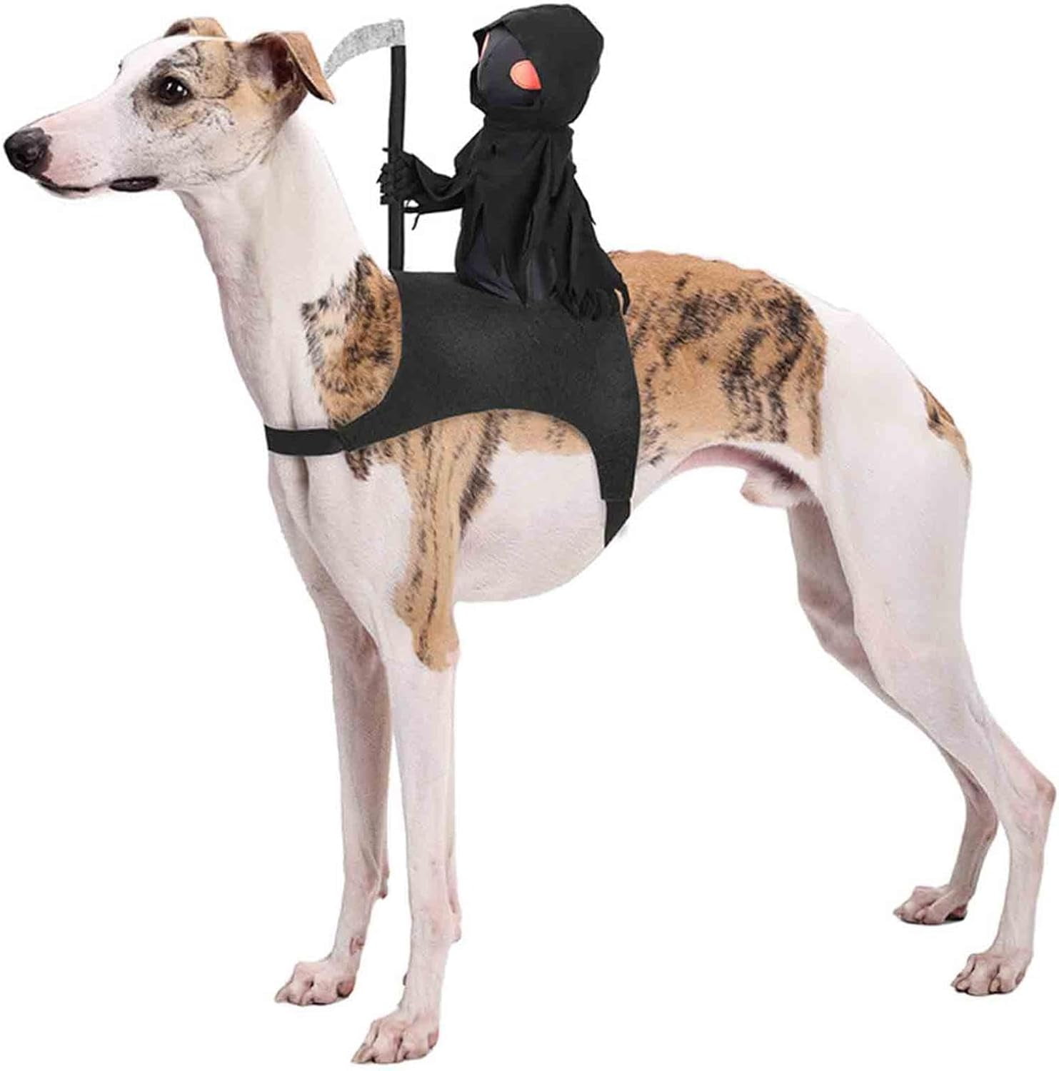 Zelda Hunny Bunny Pink Funny Playboy Bunny Dog Pet Halloween