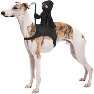 Zelda Hunny Bunny Pink Funny Playboy Bunny Dog Pet Halloween