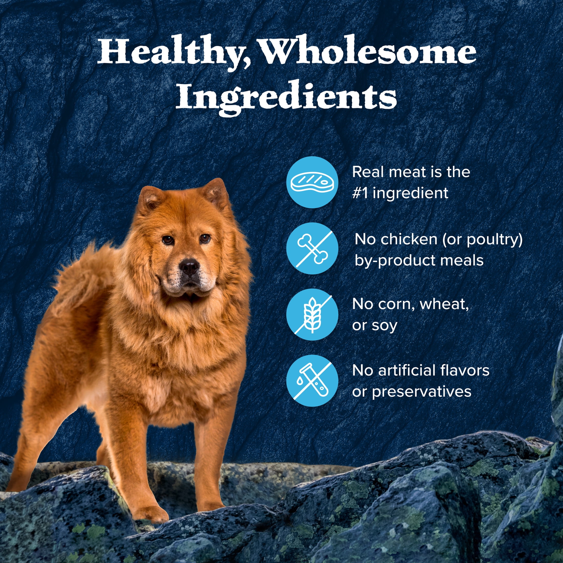 (4 pack) Blue Buffalo Wilderness Wild Cuts Wet Dog Food Toppers, Chicken & Beef, 3-oz. (12 Count)