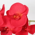 thumbnail image 5 of 38 Inch Artificial Phalaenopsis Flowers for Outdoors 5 Pcs Faux Orchid Flowers Stem Plants for Home Living Room Office Garden Decor (Red), 5 of 7