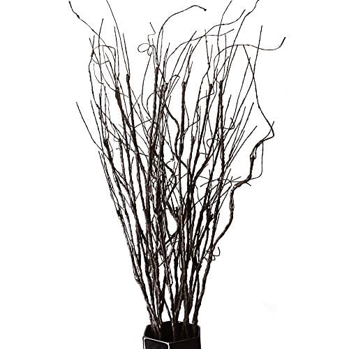 willow twigs uk