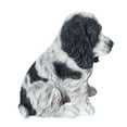 thumbnail image 4 of Realistic Animal Sitting Cocker Spaniel Puppy Collectible Home Decor Figurine, 4 of 4