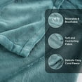 thumbnail image 5 of Heated Blanket 62x84'' Twin Size with 4 Heating Levels 10 Hours Auto-Off Electric Throw in Cozy Plush Fabric Reversible for Home Bedding Couch - 1-teal, 5 of 13
