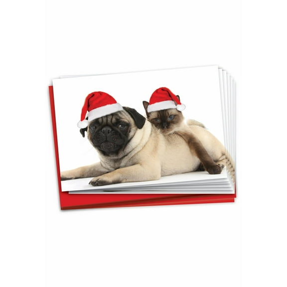 Pack of 12 Merry Christmas Greeting Cards (1 Design, 12 Cards) - Christmas Copy Cats B6596CXSG