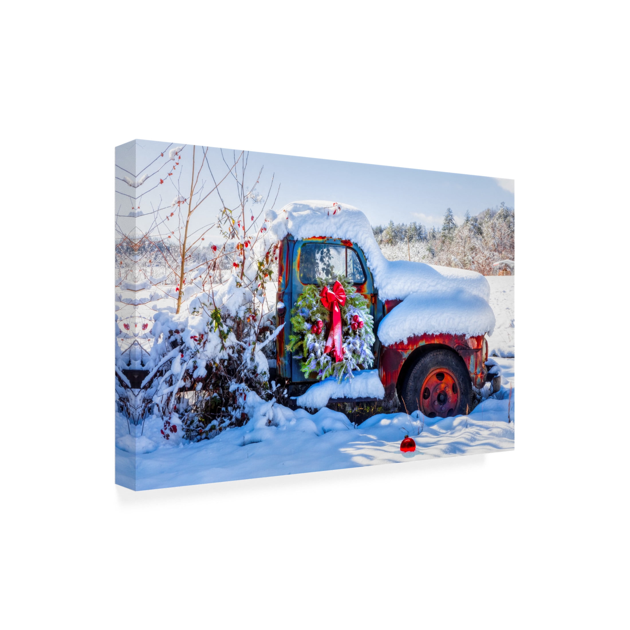 Canvas Wall Art - Celebrate Life Gallery 'Covered in Snow' Wall Art for Living Room, Bedroom, or Office Décor by Trademark Fine Art - 24 x 16 Inches