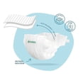 thumbnail image 5 of Chlorine Free Cotton-Lined Disposable Diapers, 5 of 15