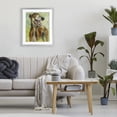 thumbnail image 3 of Stupell Industries Traditional Greyhound Smile Watercolor Gray Framed Print Under Glass, 17 x 21, by Patti Mann, 3 of 8