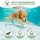 thumbnail image 5 of DeluPet - Collar de entrenamiento para perros, 5 of 5