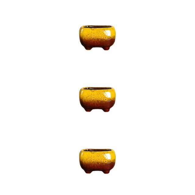 Bearachild La maceta de cerámica perfecta para exhibir tus plantas en maceta favoritas Maceta suculenta amarilla Type1 NO1