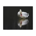 thumbnail image 1 of Canvas Gallery Wraps Unframed, 1 of 6