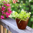thumbnail image 2 of 2-Pack 10 in.Dark Wood Plastic Self-watering Planter Pot, 2 of 7