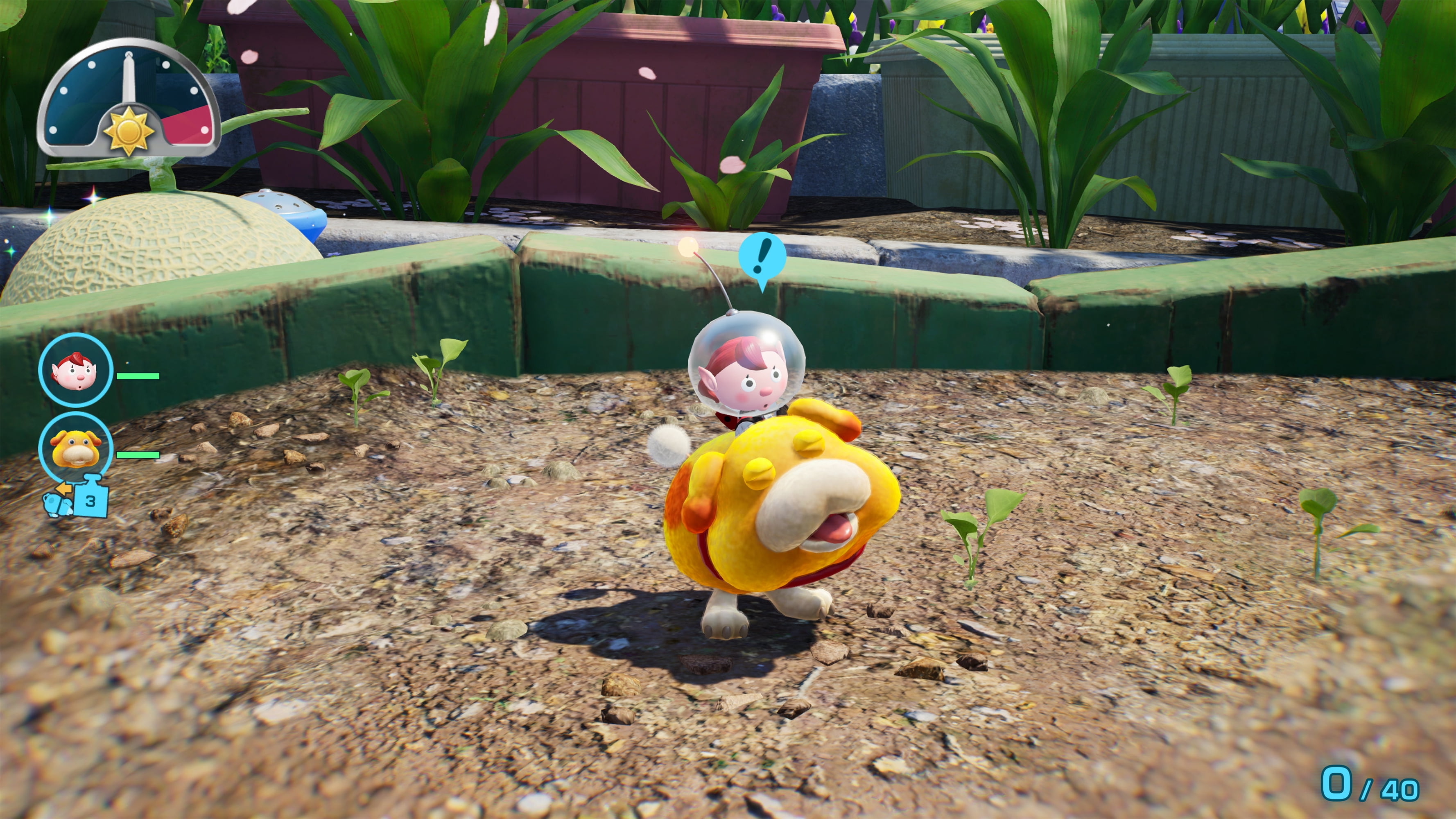 Pikmin™ 4 – Nintendo Switch™ 2 Edition + Dandori Academy