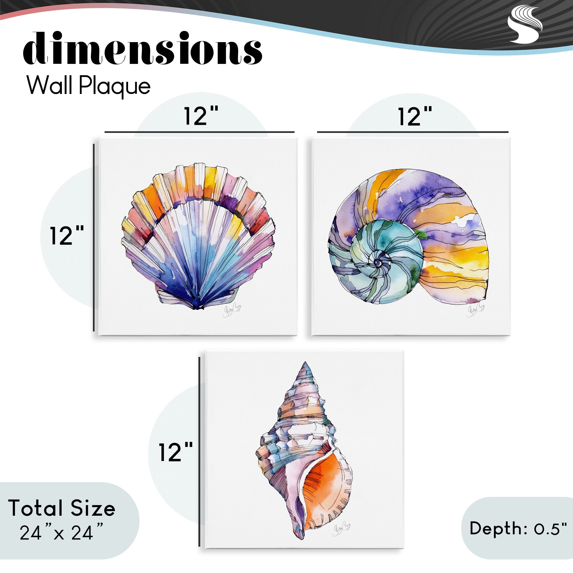 Stupell Industries Sunlit Seashells Watercolors 3 Piece Wall Plaque Art Set, design by Shelly Craig