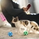 thumbnail image 5 of 4 Paquetes De Juguetes Para Mascotas, Juguetes De Espuma De Colores Para Gatos, Regalos Para Gatos Y Perros, Juguetes Para Lanzar, 5 of 5