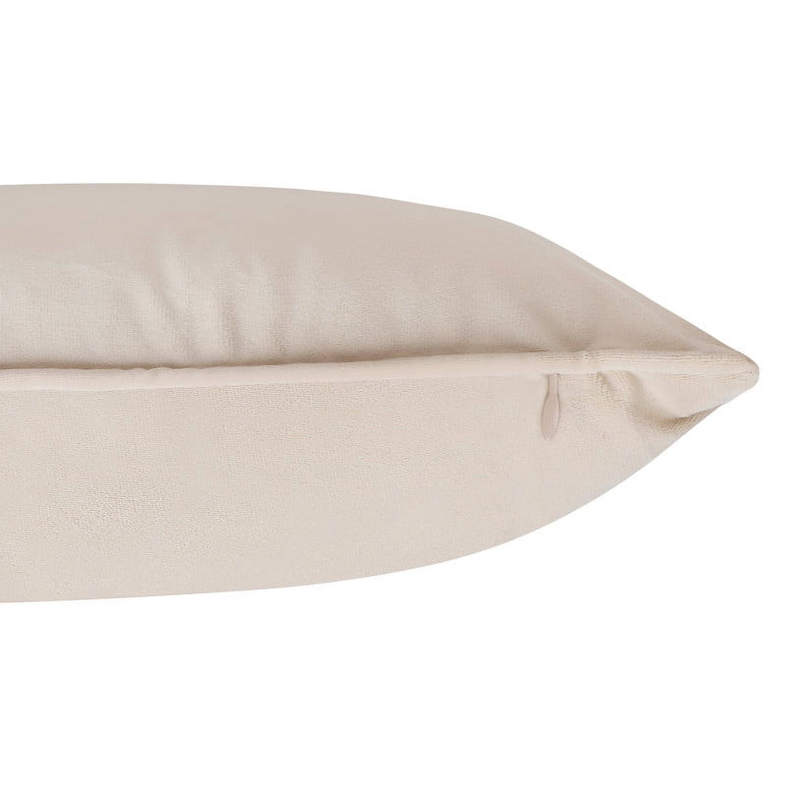 A1HC Set of 2 Luxurious Soft Velvet Throw Pillow Covers Only, 20"x20", Beige, Decorative Cushion Covers with Hidden YKK Zipper for Sofa or Bed