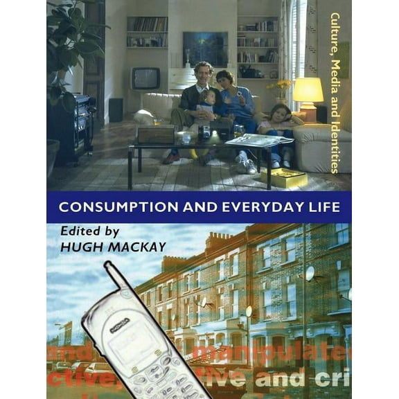 Culture, Media and Identities Consumption and Everyday Life, Book 5, (Paperback)