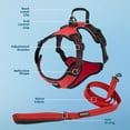 thumbnail image 3 of Voyager Dog Harness Dual Leash Attachment No-Pull Control Adjustable Soft, Strong Pet Harness for Medium & Large Dogs w/ 3M Reflective Technology w/ Leash Included - Red Lattice, S (Chest 22-27"), 3 of 8