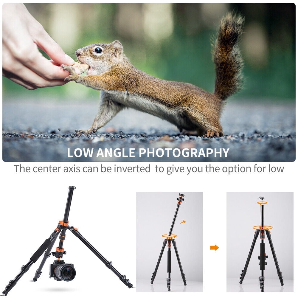 K&F CONCEPT 78" Professional Compact Aluminum Camera Tripod for DSLR Camera Photo, Lightweight Travel Tripod with 360 Degree Ball Head for Photography