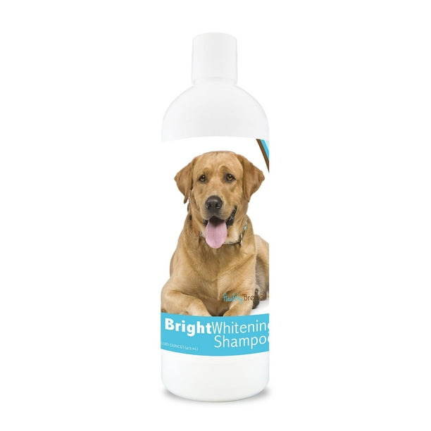 Healthy Breeds Labrador Retriever Bright Whitening Dog Shampoo 12 oz
