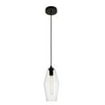 thumbnail image 3 of Placido Collection Pendant D5.9 H14.2 Lt:1 Black and Clear Finish, 3 of 5