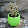 thumbnail image 1 of Plastic Flower Pot Succulent Pot Mini Seedling Flower Container Plastic Flower Pot For Garden Courtyard Balcony, 1 of 2
