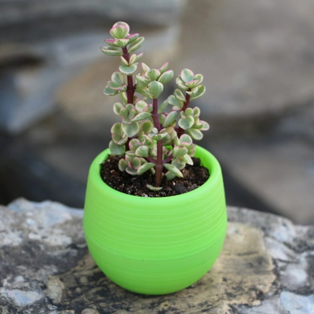 Plastic Flower Pot Succulent Pot Mini Seedling Flower Container Plastic Flower Pot For Garden Courtyard Balcony