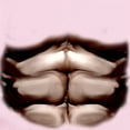 thumbnail image 2 of CafePress - SIX PACK ABS Infant Bodysuit - Baby Light Bodysuit, Size Newborn - 24 Months, 2 of 4
