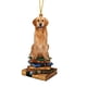 thumbnail image 2 of Colgante con Forma de Árbol de Navidad, Adorno Navideño con Forma de Perro, Trineo Colgante, Libros Navideños, Adornos Acrílicos, Regalos para Amantes de Los Libros, Adornos Navideños., 2 of 5