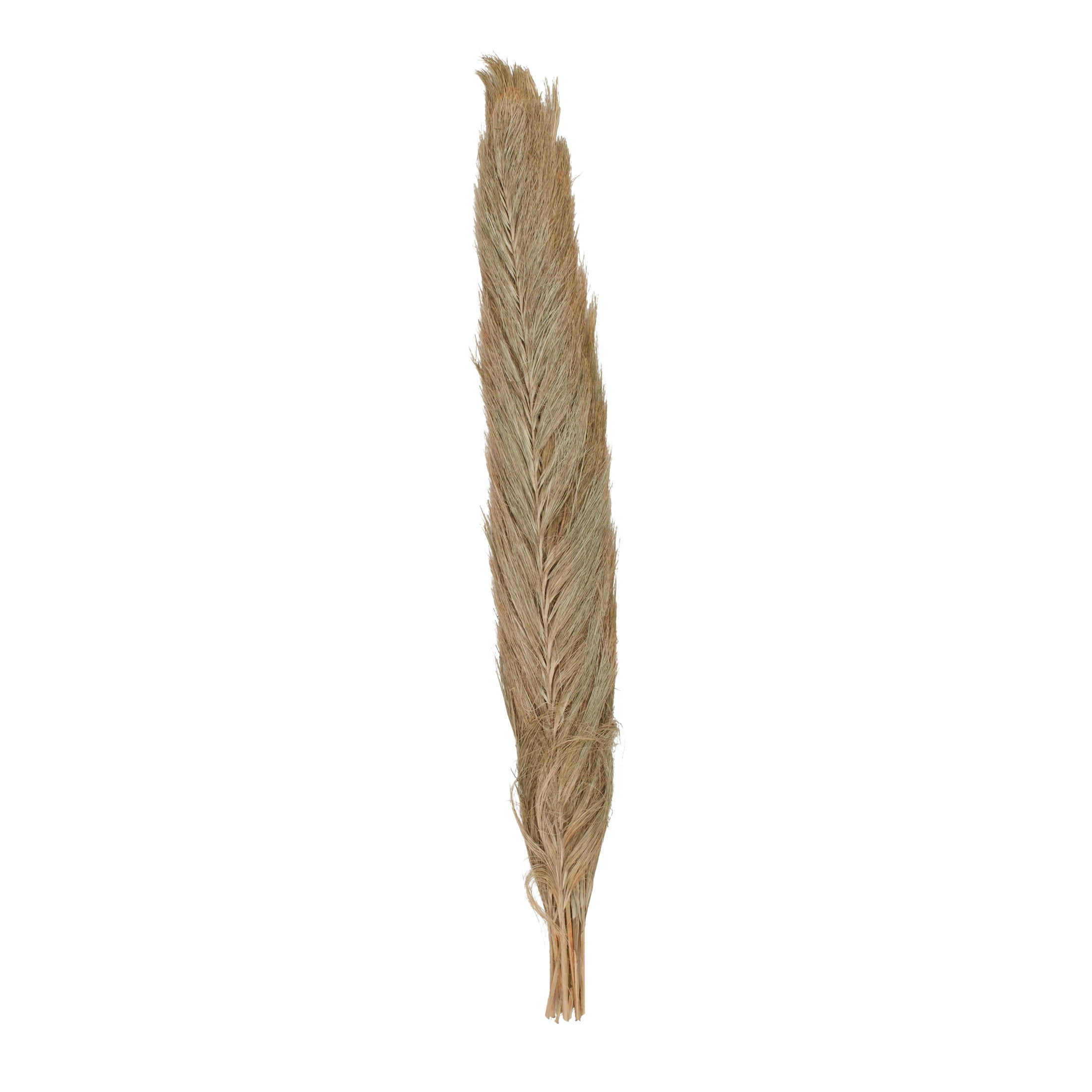 60" Tall Palm Leaf Natural Foliage Bouquet, by DecMode