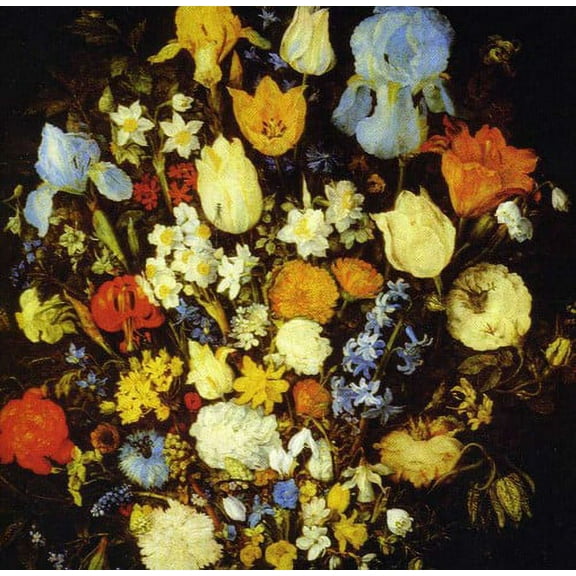 Young Moon - Navigated Like the Swan - Music & Performance - CD