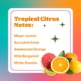 thumbnail image 7 of Citrus Magic Auto Air Freshener Spray, Tropical Citrus, 8-Ounce, 7 of 7