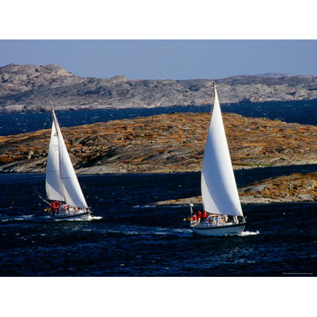 Sailboats Cruising in Bohuslan Archipelago, Mollosund, Vaster-Gotaland, Sweden Print Wall Art By Anders
