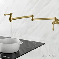 Plaisir Retractable Wall Mount Pot Filler Faucet in Brushed Gold
