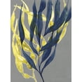 thumbnail image 2 of Goldberger, Jennifer 15x18 Gold Ornate Wood Framed with Double Matting Museum Art Print Titled - Kelp Embrace II, 2 of 4