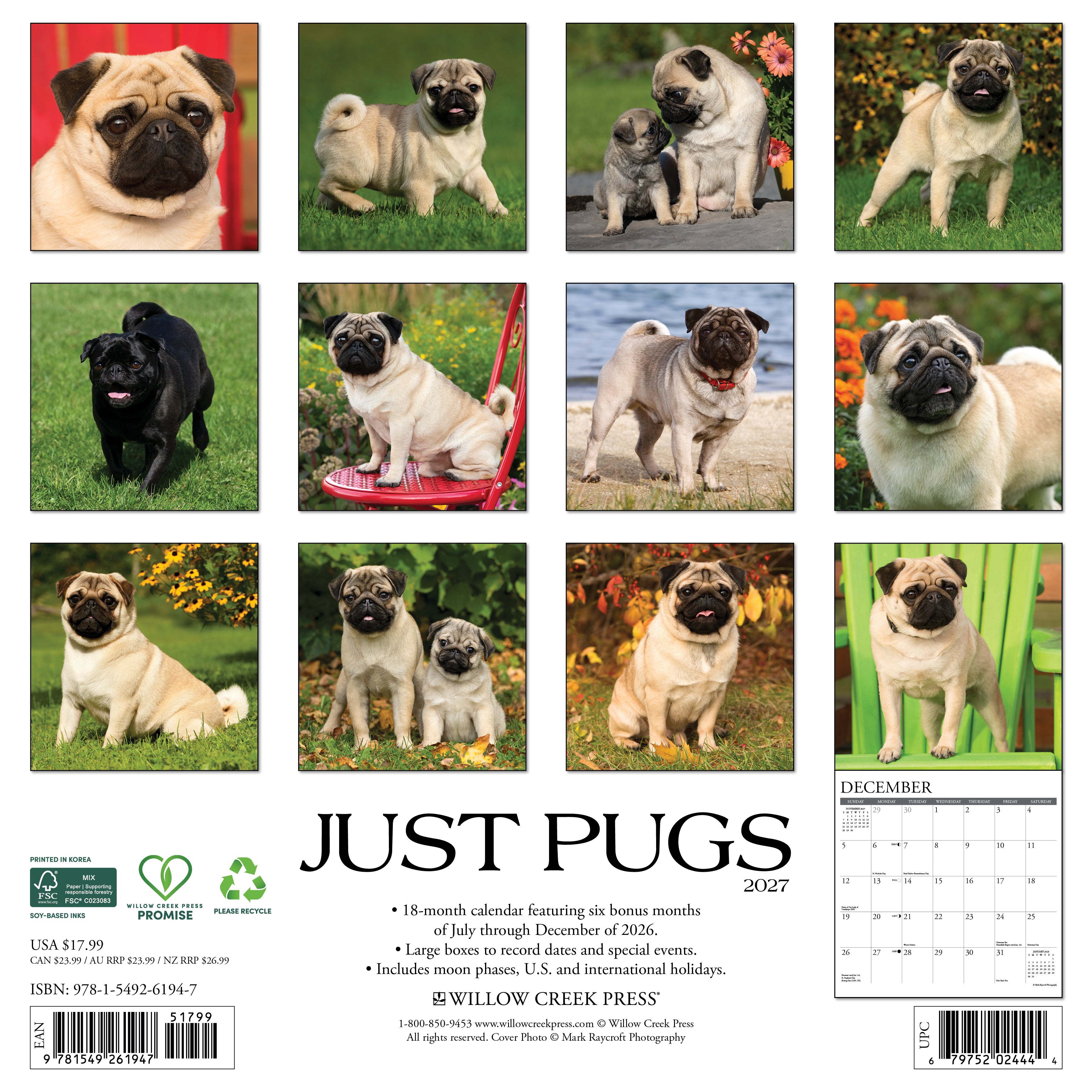 Willow Creek Press, Pugs 2027 Wall Calendar
