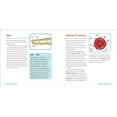 thumbnail image 5 of Junior Scientists: Human Anatomy for Kids : A Junior Scientist's Guide to How We Move, Breathe, and Grow (Paperback), 5 of 8
