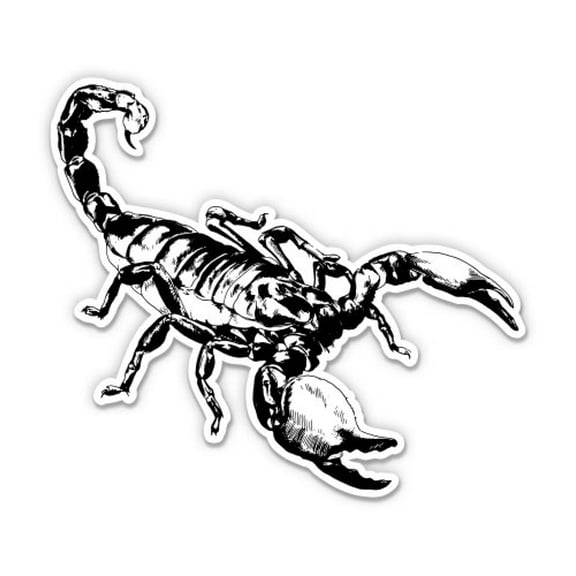 Scorpion Drawing Black and White - 3" Vinyl Sticker - For Car Laptop Water Bottle Phone - Waterproof Decal