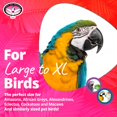 thumbnail image 3 of Super Bird Creations SB326 Large to XL Bungee Bird Toy - Rope Perch for Amazons, African Greys, Cockatoos, Parrots - Colorful Hanging Perch - Enriching Bungee Toy for Large/XL Birds & in Bird Cages, 3 of 7