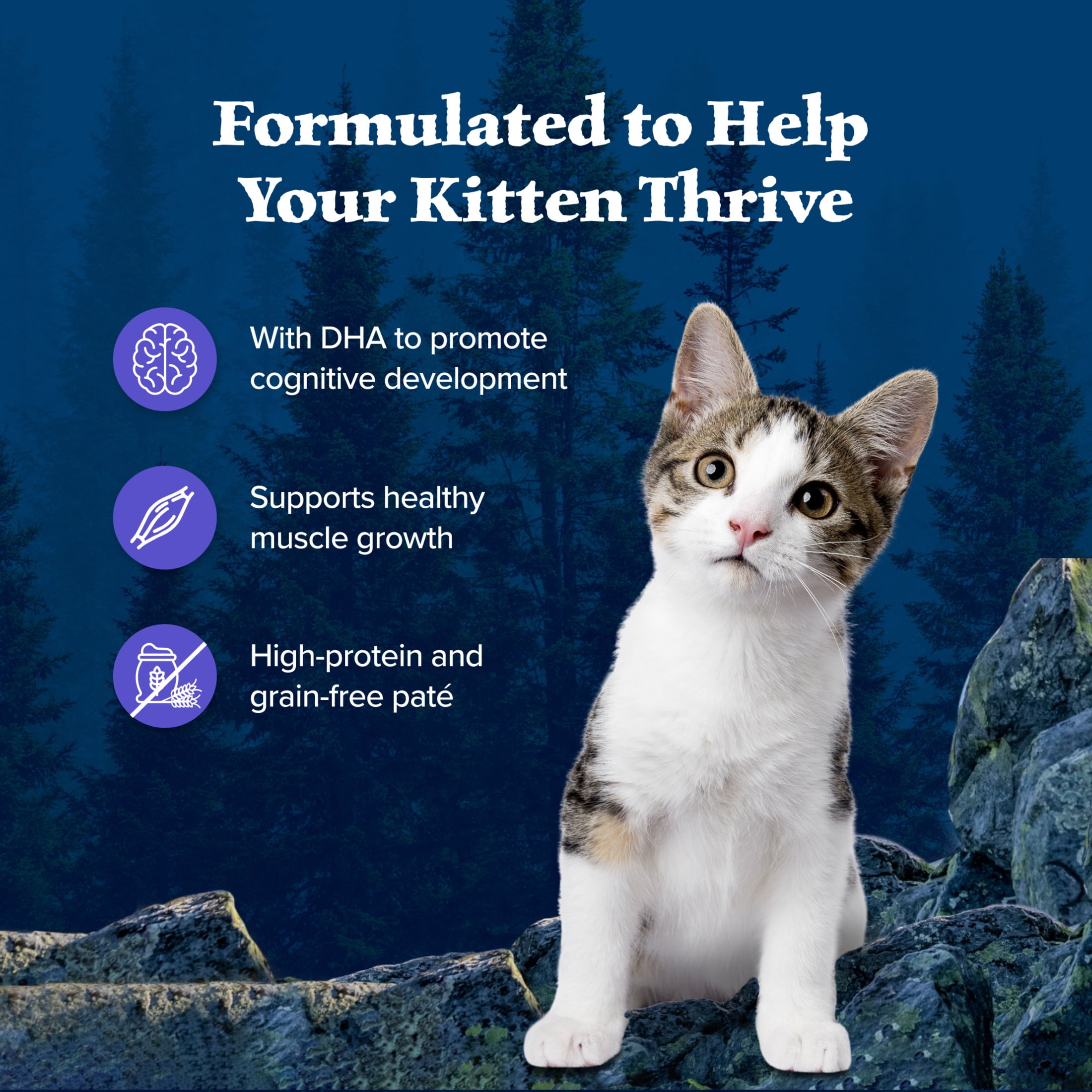 (4 pack) Blue Buffalo Wilderness Wet Kitten Food, Chicken & Salmon Variety Pack, 3-oz. (6 Count)
