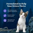 thumbnail image 5 of Blue Buffalo Wilderness Wet Kitten Food, Chicken & Salmon Variety Pack, 3-oz. (6 Count), 5 of 12